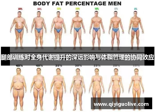 腿部训练对全身代谢提升的深远影响与体脂管理的协同效应